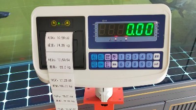 生產(chǎn)電子計(jì)數(shù)秤廠家