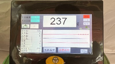 自動檢重電子秤流水線皮帶秤