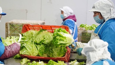 這電子秤是不是有問題啊？”“我們怎么知道買的東西是不是缺斤短兩呢