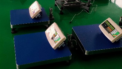 工業(yè)稱重計數(shù) acs-30電子秤的妙用